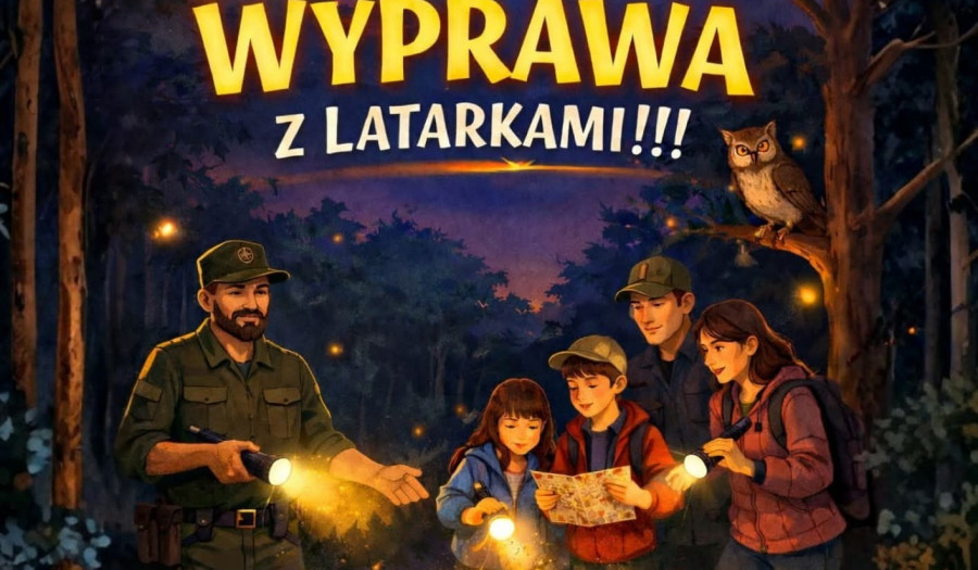 Siechnice: Odkryj nocne życie lasu. Wyjątkowa wyprawa dla całych rodzin