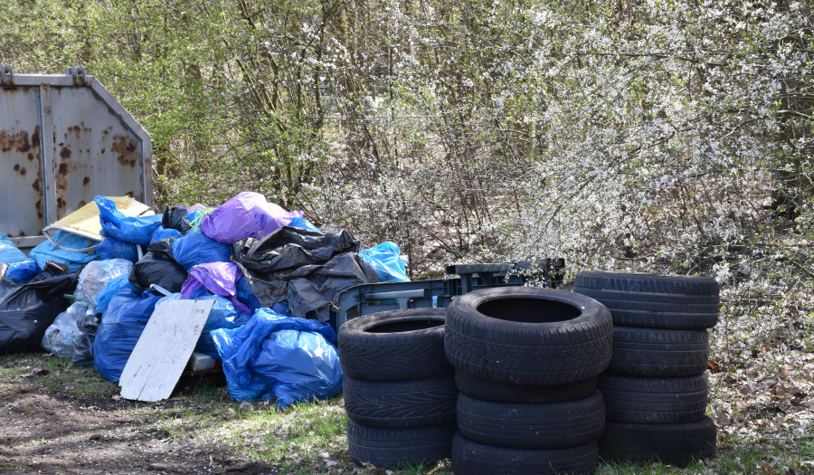 Siechnice: Mieszkańcy Wrocławia i okolic biorą sprawy w swoje ręce – rusza akcja sprzątania