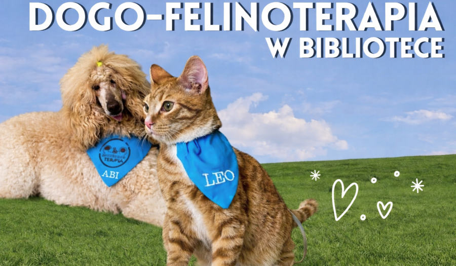 Siechnice: Cztery łapy, wielka pomoc. Terapeutyczne spotkanie z psem i kotem