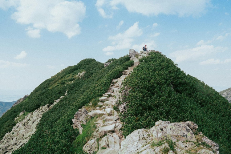 Siechnice: Co to jest softshell?