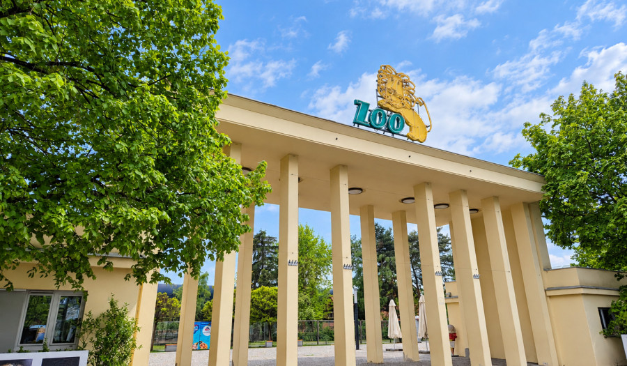 Siechnice: Wrocławskie ZOO czeka! Bezpłatna wycieczka dla osób z niepełnosprawnościami